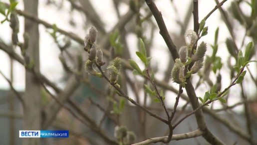 ������� ������ ���� ��������� ������, ��� ��� �������� ������� �����������