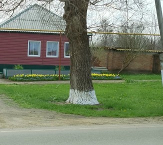 Доброе утро!. Сегодня 6 апреля, понедельник, мы представляем вам погоду на этот день