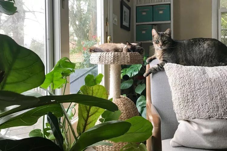 ��� ���������� ��� ��� � ����� ��� ��������: ������������ ������