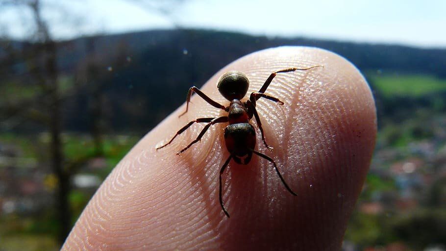 ��������� ������ ������ � ���������: ��� ������ ������� ��� ������