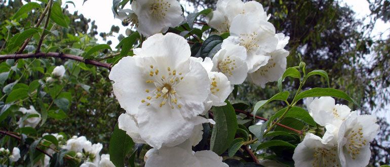 ��������: ��������� ���������� ��� ������ ����