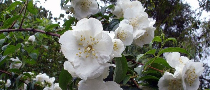 ��������: ��������� ���������� ��� ������ ����