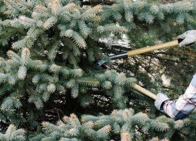 ����������� ������� ������������ ��������: ������ � �������