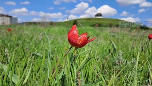 � ����� ������ ������������ ��������