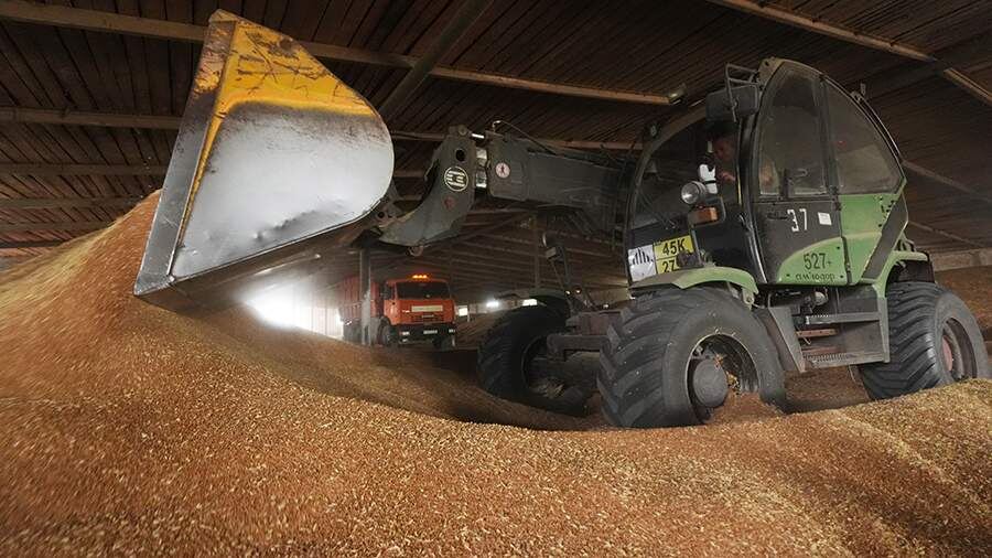 ВТБ наращивает поддержку сельхозпроизводителей через льготное кредитование