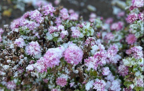 � �������� 9 � 10 ������ ��������� ���������