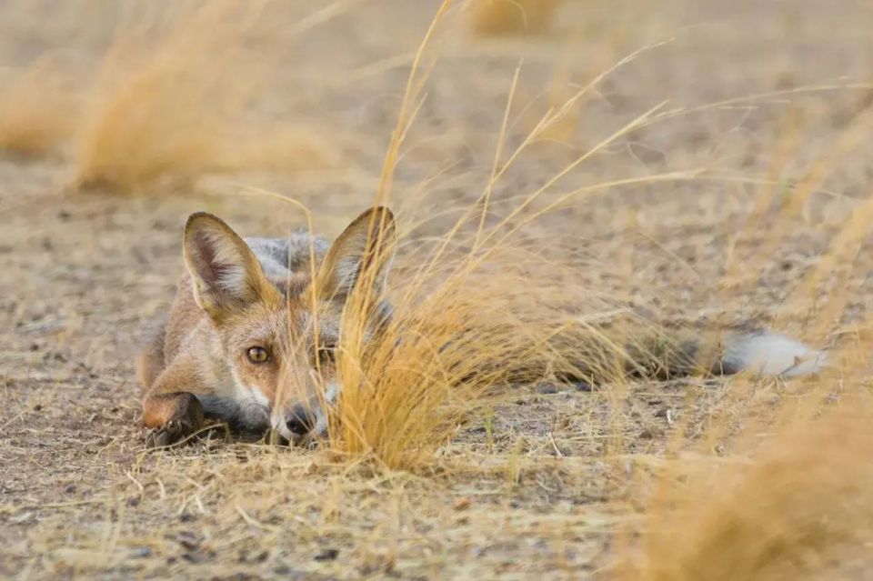 � �������� �������� ���������� ����� ���������� ����� �������