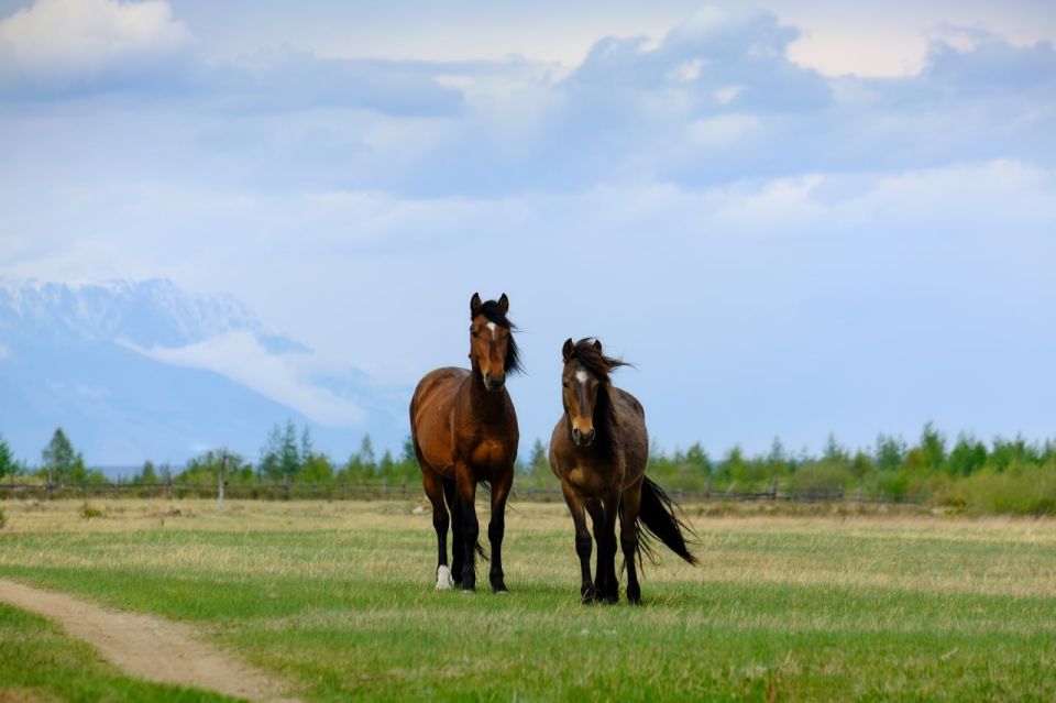 �������� ��������� ������������� �� ���� ������