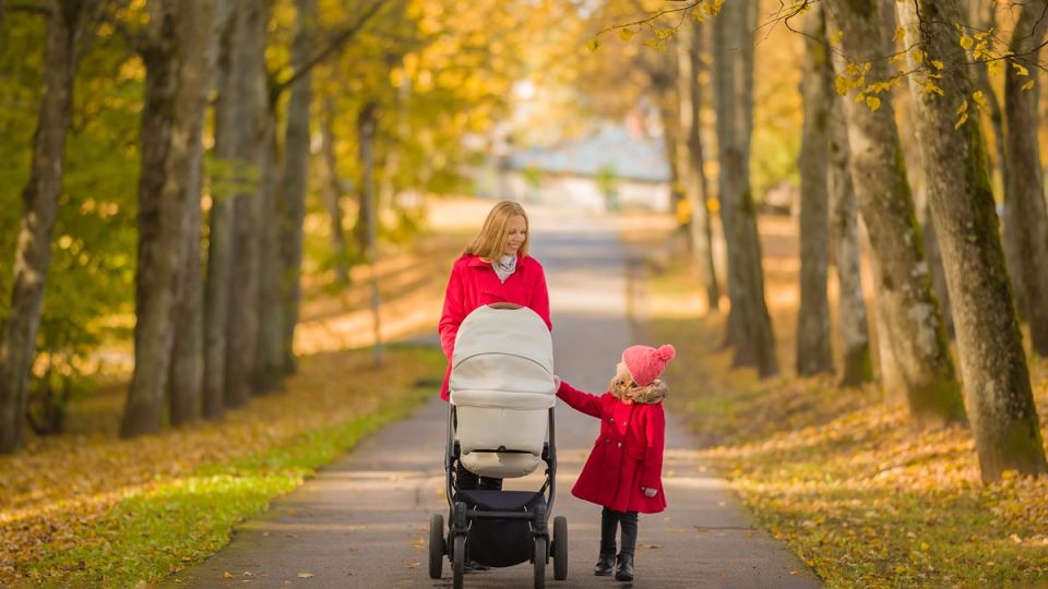 ����������� ������ �������� ������������ ���������� �� ������� ����������