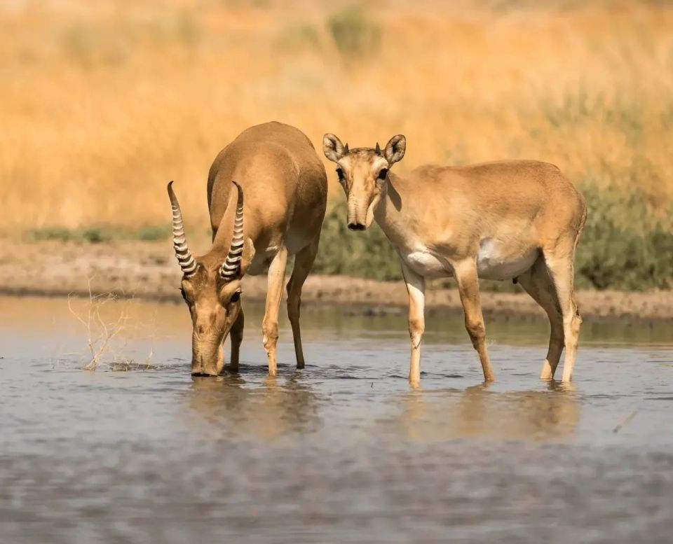 � �������� �������� ���������� ����� ���������� ����� �������