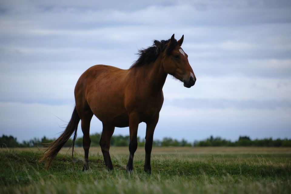 �������� ��������� ������������� �� ���� ������