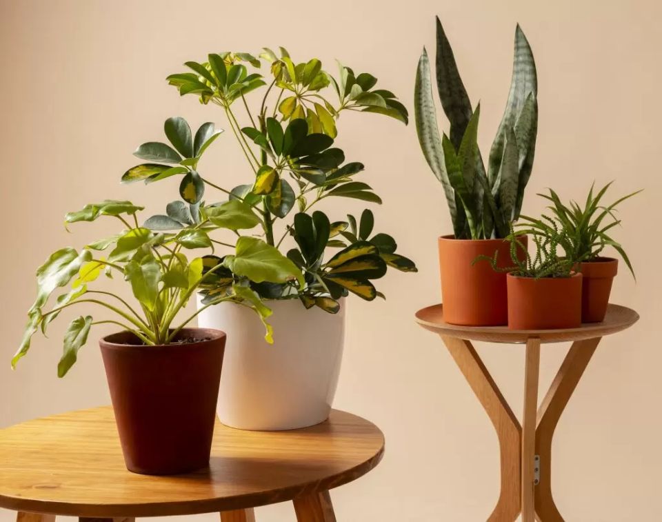 ��� ������� ��������� ������� ��� �������� ��������� ��������