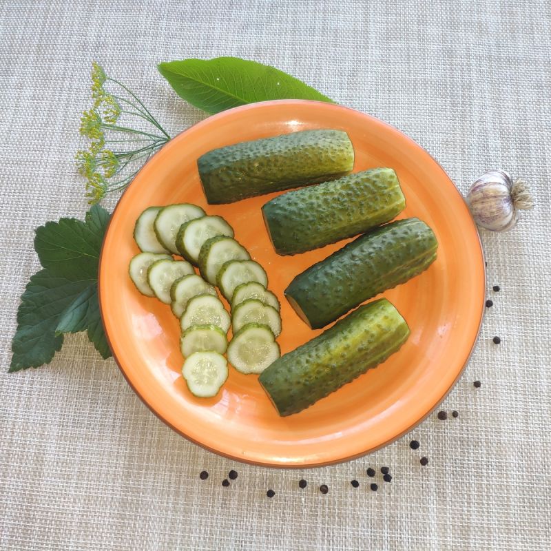 ����������� ������ ����������� �������: ������� ��������� �������������