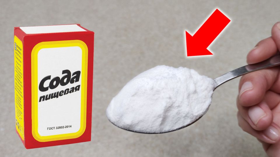 ���� � ����: 8 ������������ ��������, � ������� �� �� ������������