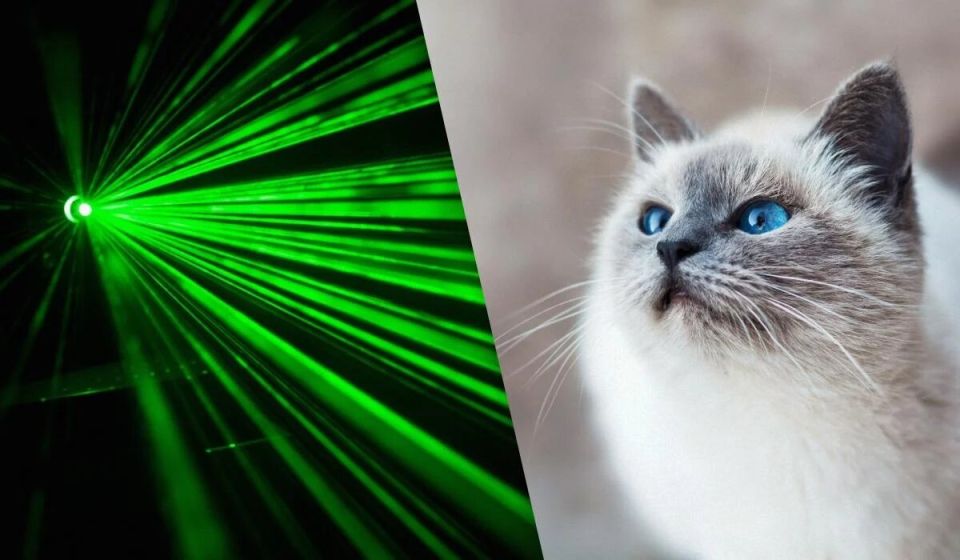 ������ ����� ��� ����� �������� �� ��������� ��������: ������ ��������