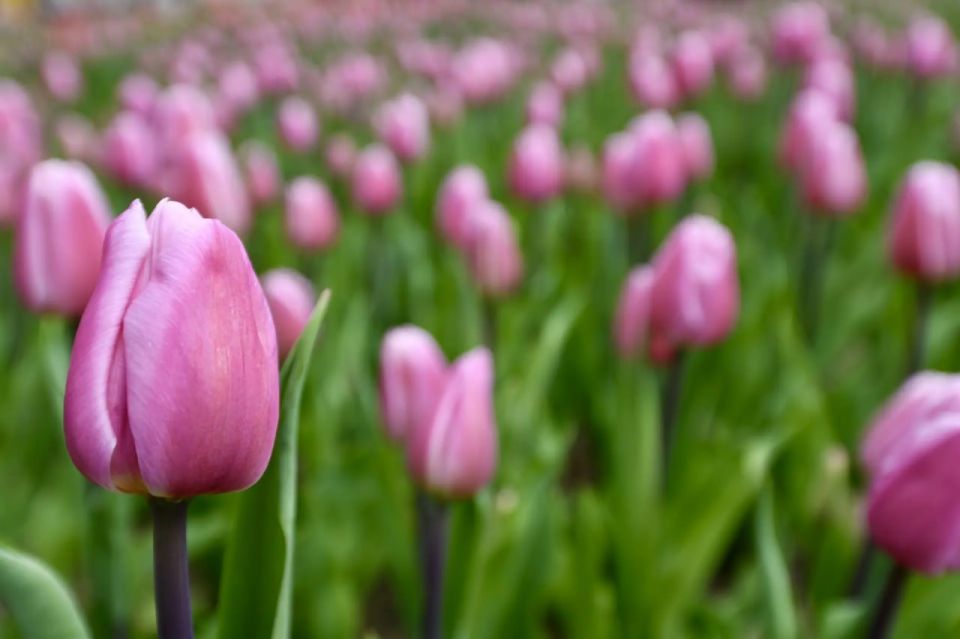 �������� ������� �� ������ � �����, �� � � ����� ������!