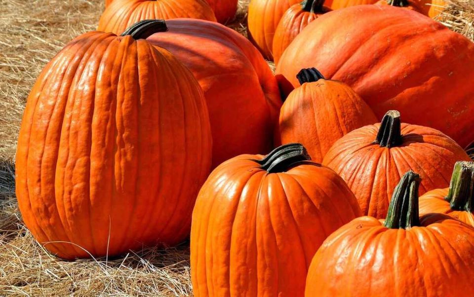 ������������ ������ �����, �������� � ������ ����� �����