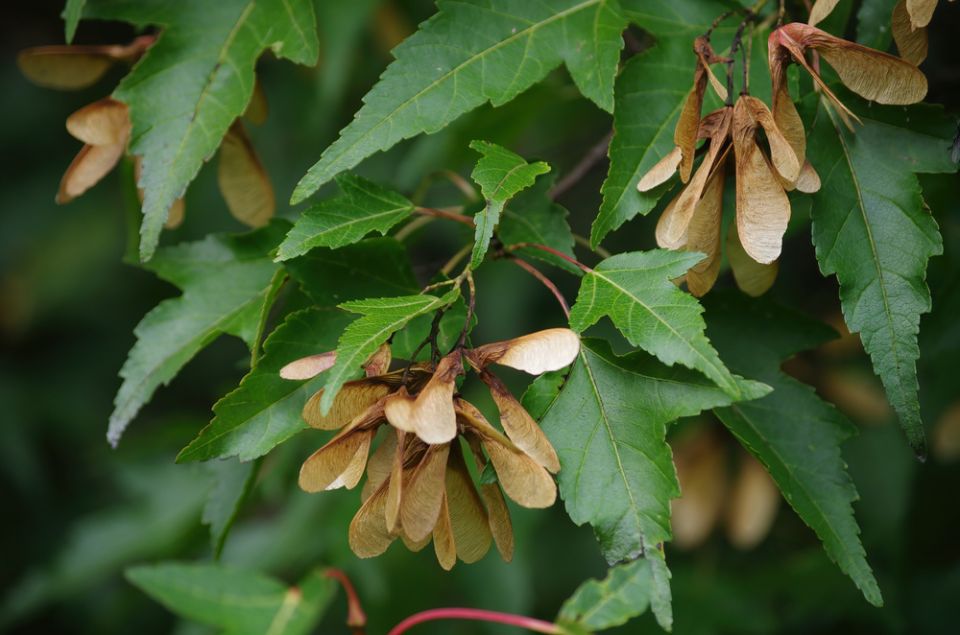 �������������� �������: ������� ����������� ����� ������� � ����������