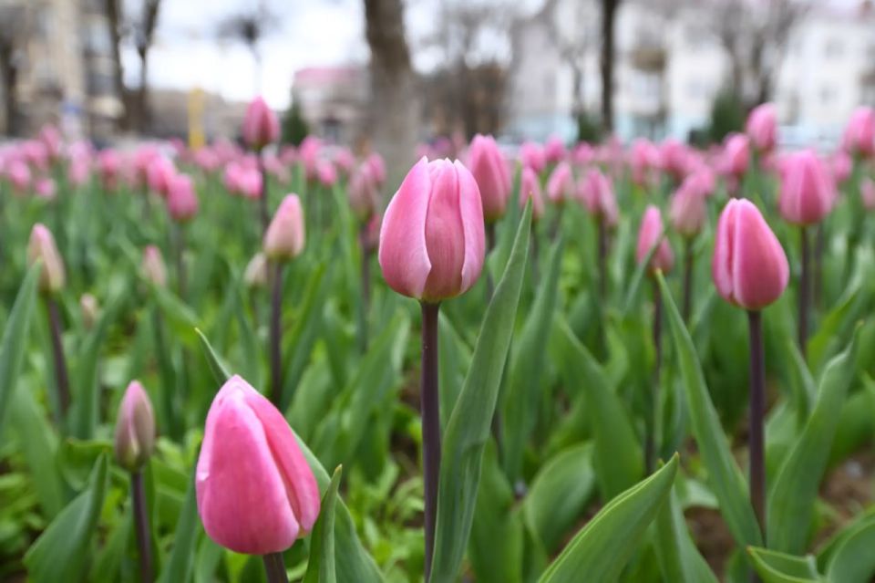 �������� ������� �� ������ � �����, �� � � ����� ������!