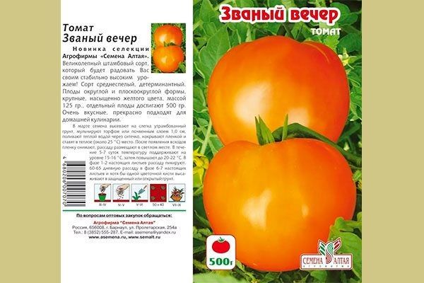 ����� ������ �����: ��� �������� ��������� ������ � ����������� �������� �������