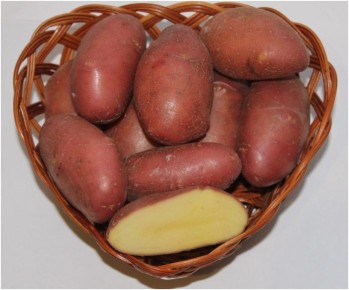 ��������� ��������: ��������� ����� ��� ��������� ������������� ������