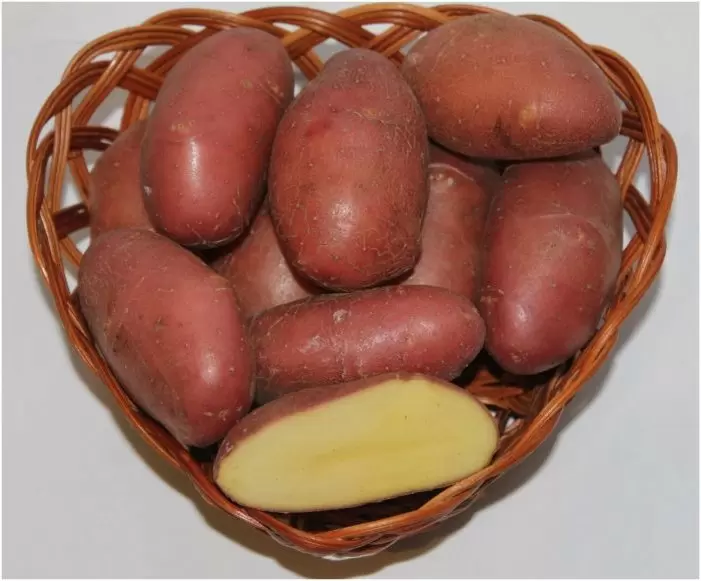 Картофель Гарантия: идеальный выбор для любителей качественного урожая