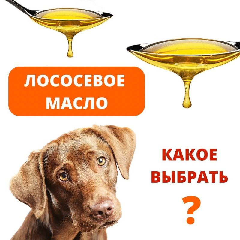 ��� ������� ������ ��������� ����� ��� ������ �������: �� ��� �������� ��������