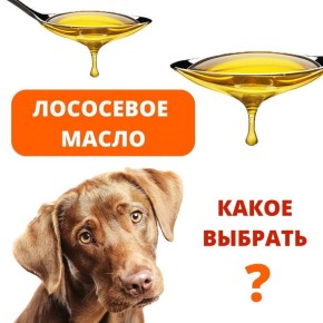 ��� ������� ������ ��������� ����� ��� ������ �������: �� ��� �������� ��������