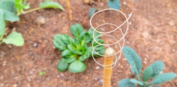 ��������������� � �����������: ��� ������������� �������� ��������� �����