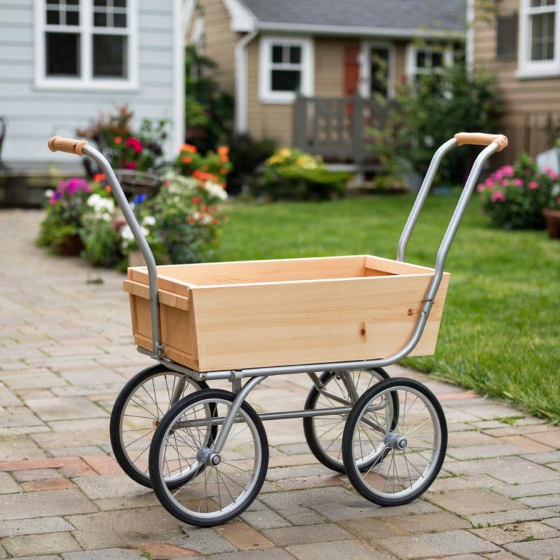 ������ ����� ������� �������: ���������� � ������ �������