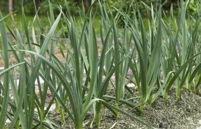 ��� ��������� ����������� ��� � ������ � ���� ��� �������� ������