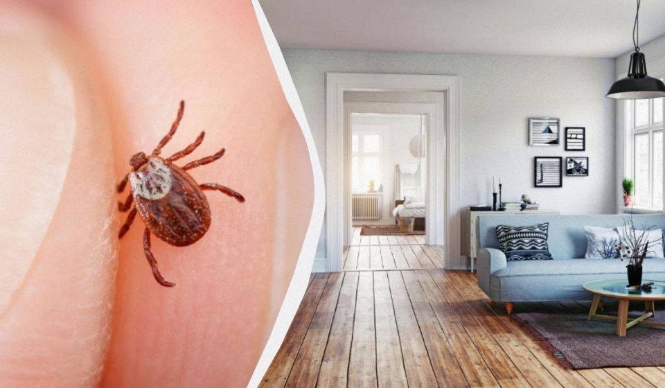 ����� ����� ���� ������� �����, ��� �������: ��� ������ ������ � ����� ����