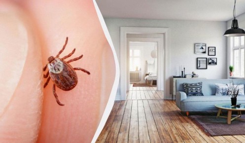 ����� ����� ���� ������� �����, ��� �������: ��� ������ ������ � ����� ����