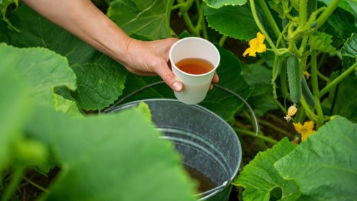 ��� ������� ���� �������� ������� ����� ��������� � ��������