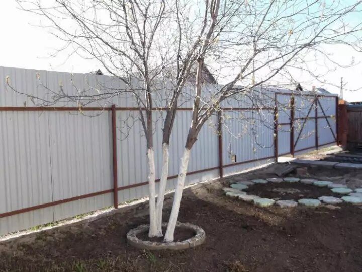 ������� � �������: �������� ������ � �������� ��������