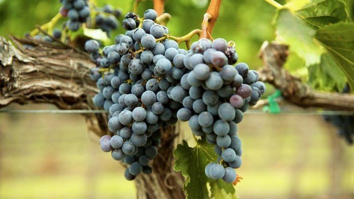 �������� �������: ��������� ������ ����� � ���������