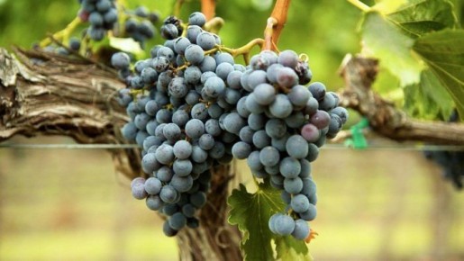 �������� �������: ��������� ������ ����� � ���������