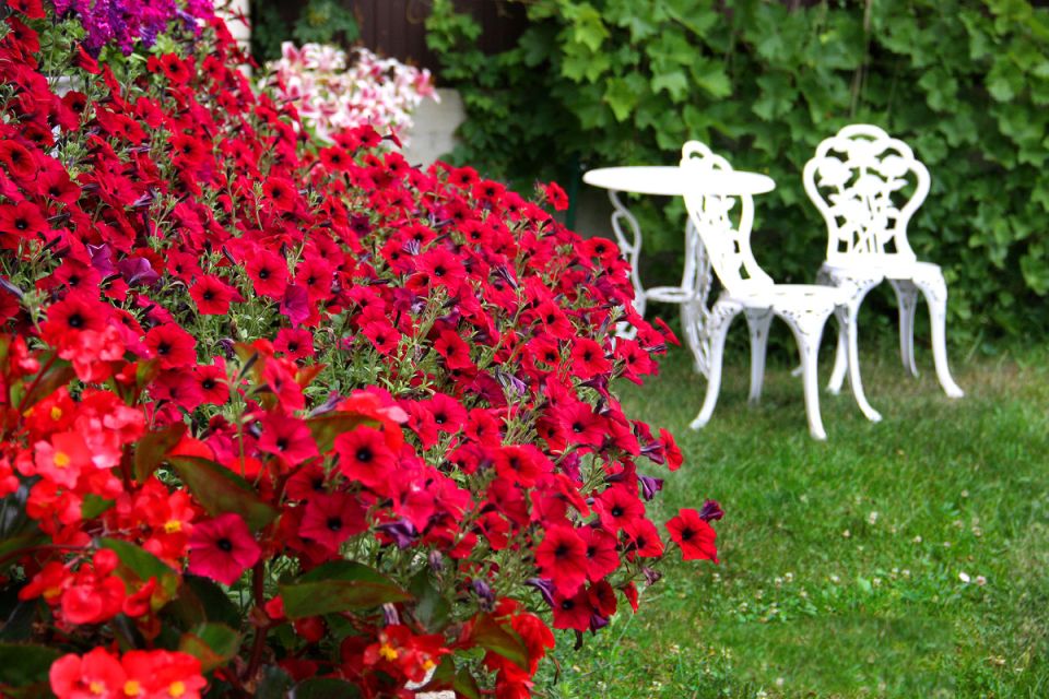 ��� ��������� � ��� ��������: ����� ���� � ���� ������