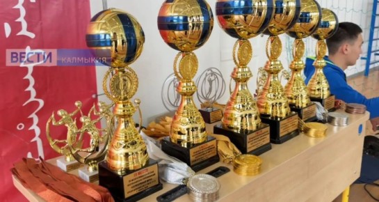 Команда из Калмыкии победила в межрегиональном этапе всероссийских соревнований «Серебряный мяч»