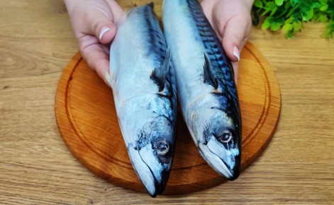 ������� ������������� �����: �������� � ����� ��� ������