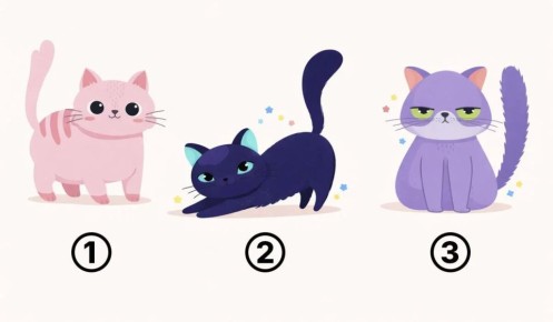 ������ ������ � ������ ����: ��� ����� �� ������� ��������� ������� ���� �����