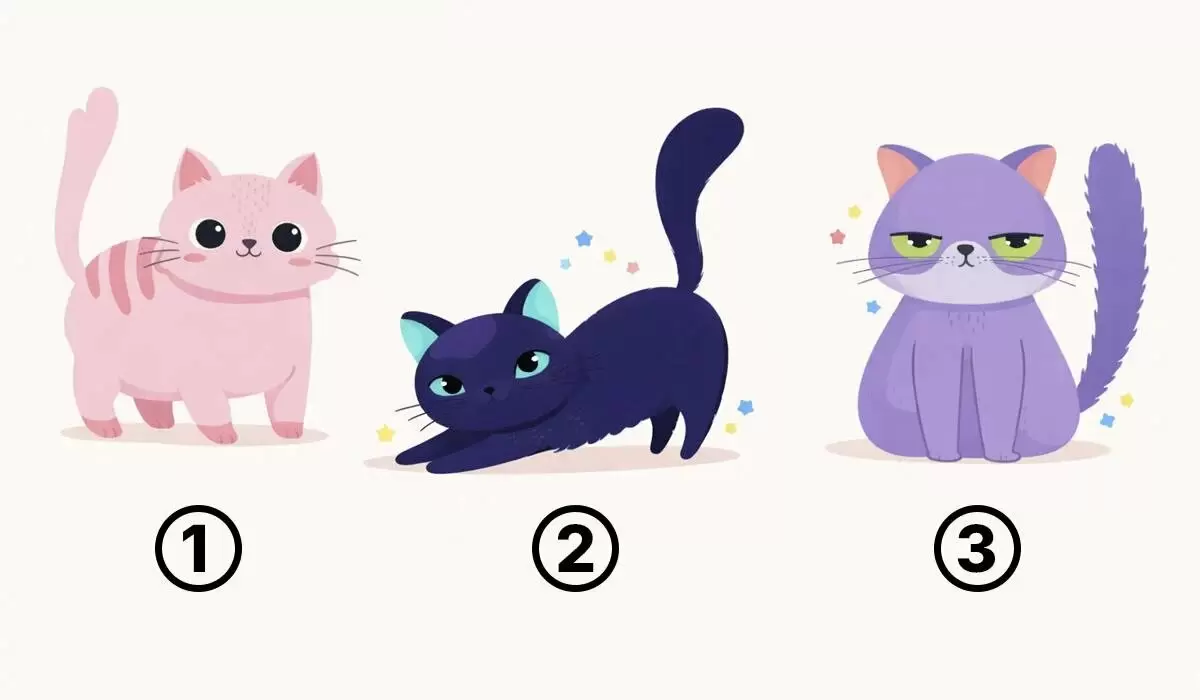 Увидел котёнка — увидел себя: как образ на рисунке подсказал близким ваши черты