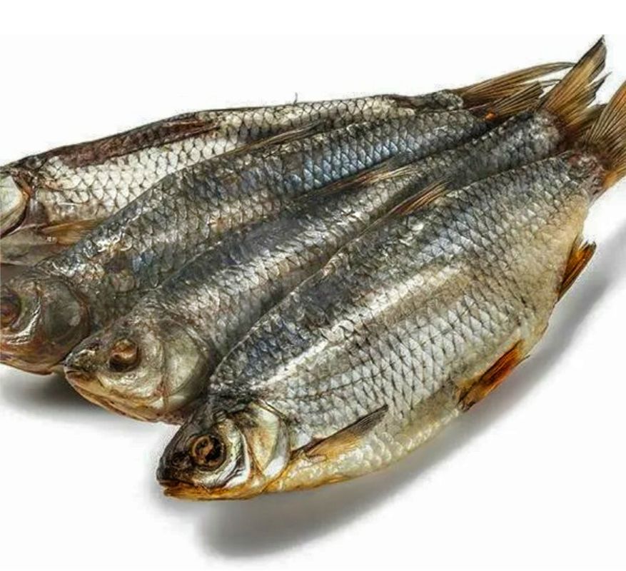 ����������� ������: ��� ������ ���� � ������, ����� ��� ����� ��������� �����������