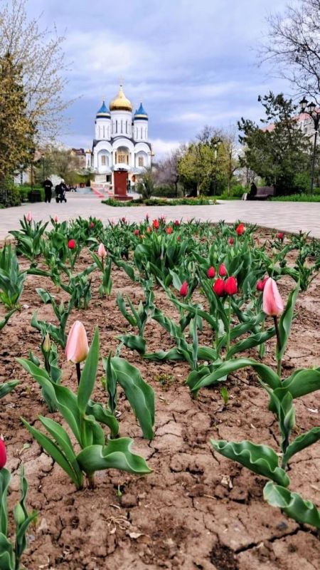 ������ ����!. ������� 12 ������, �����������, �� ������������ ��� ������ �� ���� ����