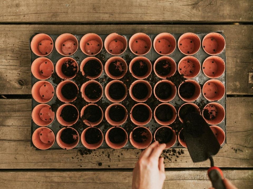 ��� �������� ���������������� ������ ��� ������ �������