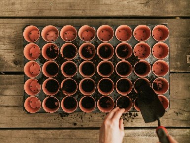 ��� �������� ���������������� ������ ��� ������ �������