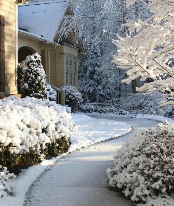 ������ ������ ���������: ��� ��������� ������� �� ���� � �������� ������