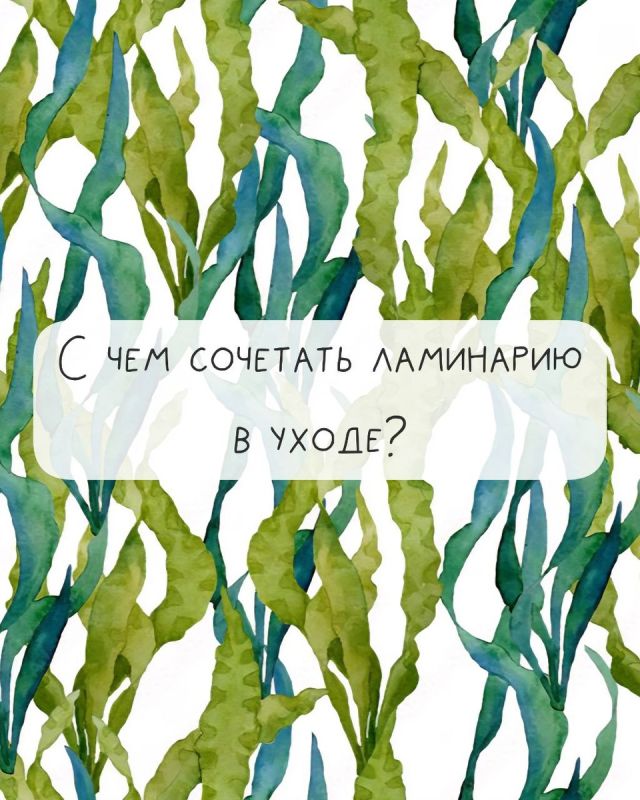 ���������: ��������� ������� � ����� �� �����