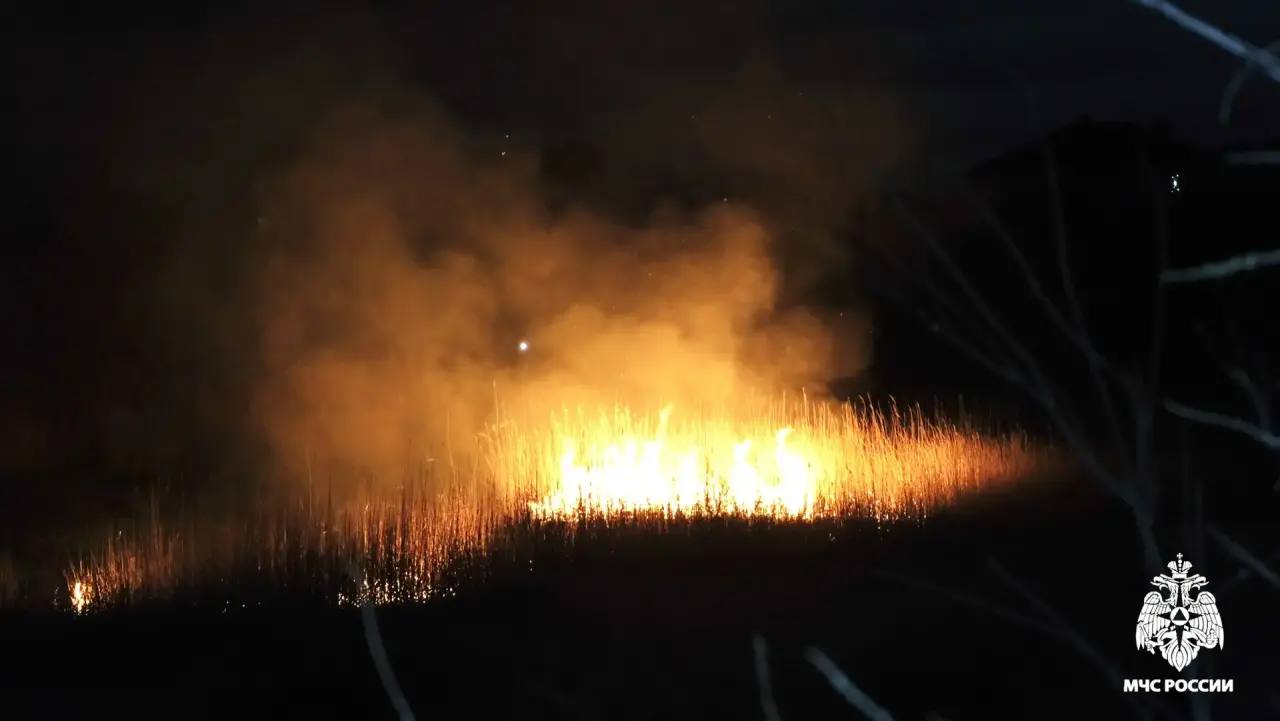 В Элисте оперативно ликвидировали возгорание камыша в районе Сити-Чесс В Элисте оперативно ликвидировали возгорание камыша в районе Сити-Чесс
