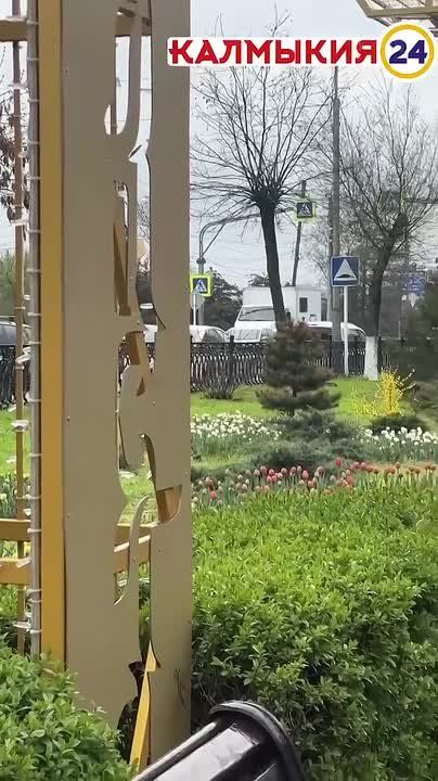 #���������������. � ������ ������ ������������ ����� �������� ��� �������� ������ ��� �������� ��������� #��������24